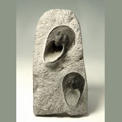 A Pair of RARE Harpietida Harpes Trilobite Species From Moroccan