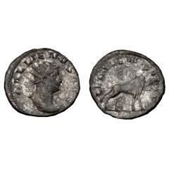 Gallienus Ar Antoninianus