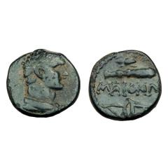 Lydia Maeonia Ae 13
