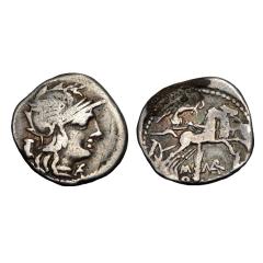 M. Marcius Mn. f. Ar Denarius