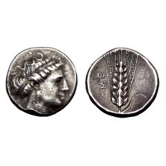 Italy. Metapontion Ar Stater