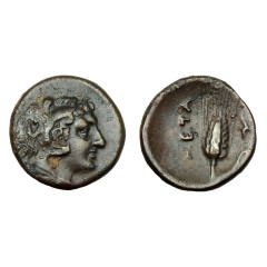 Lucania, Metapontion Ae 15