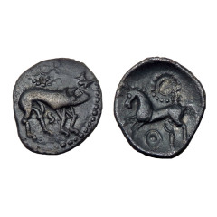 Corieltauvi Proto Boar Ar Unit