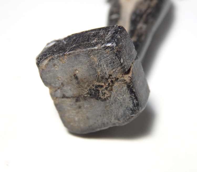 Egyptian Steatite Figure of Harpocrates Holding Lotus Flower - Image 8